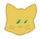 My Curious Cat!